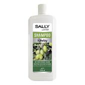 Шампунь для волос SALLY Olive Extract 1 л Ses Cosmetic/12/ОПТ